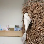 Apartment Tauber Creglingen